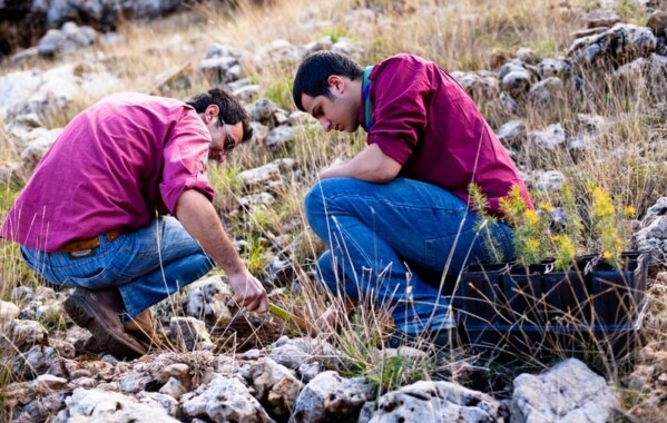 Reverdir nos Monts – Journée de Reboisement, Branche Route