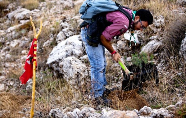 Reverdir nos Monts – Journée de Reboisement, Branche Route