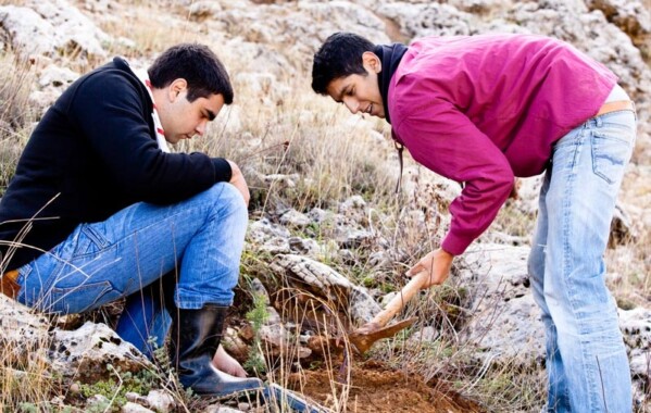 Reverdir nos Monts – Journée de Reboisement, Branche Route