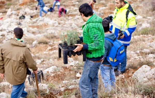 Reverdir nos Monts – Journée de Reboisement, Branche Route