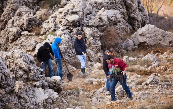 Reverdir nos Monts – Journée de Reboisement, Branche Route