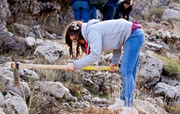 Gardiennes des bois – Journée de Reboisement, Branche Pionnière