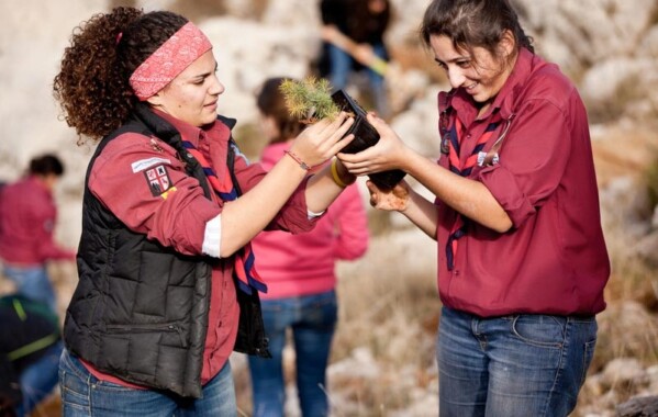 Gardiennes des bois – Journée de Reboisement, Branche Pionnière