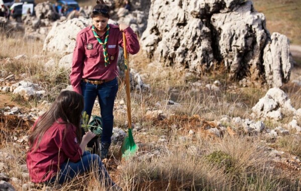 Gardiennes des bois – Journée de Reboisement, Branche Pionnière